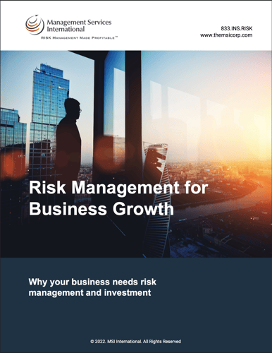 risk management for business growth ebook cover